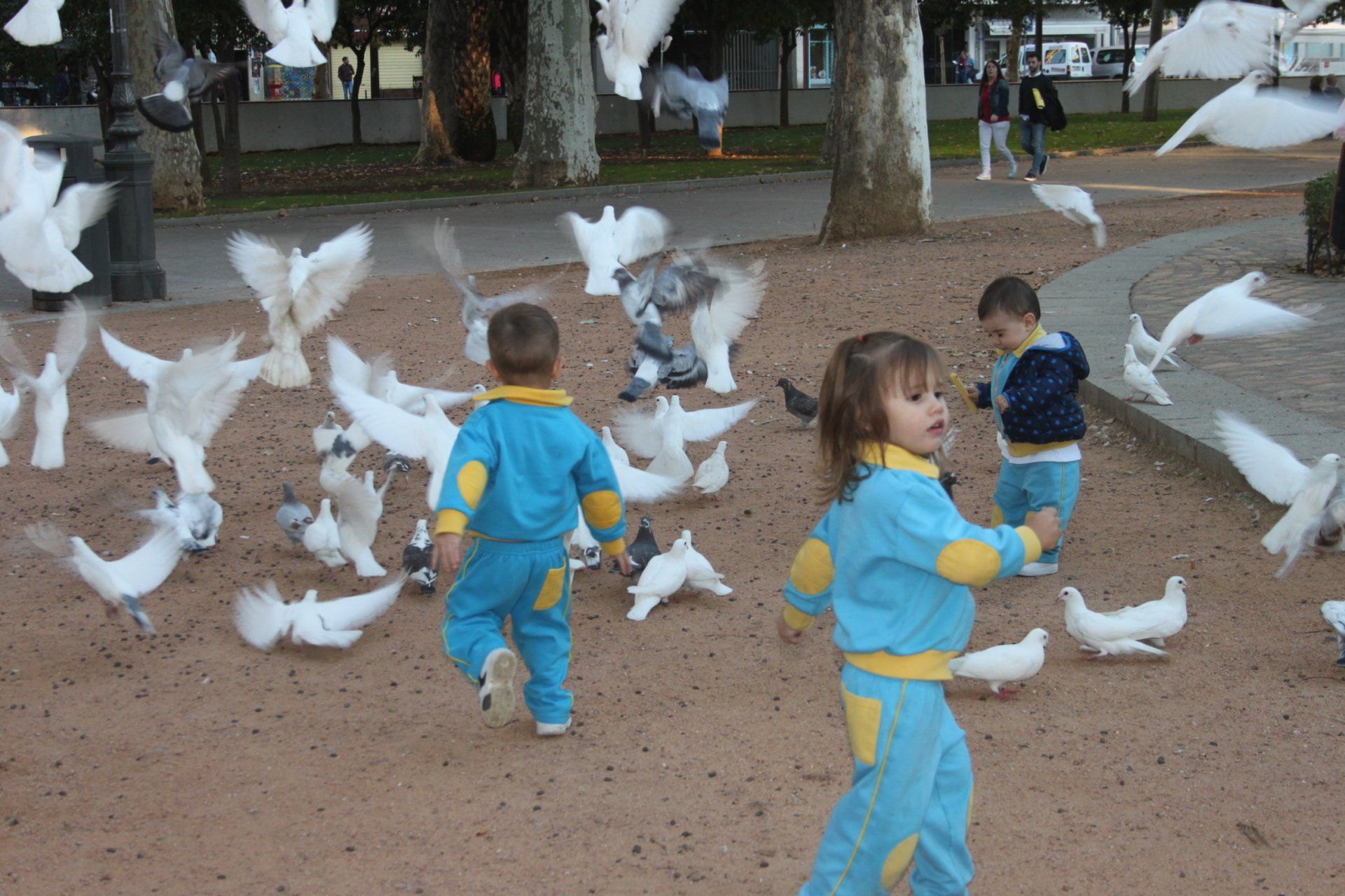 Arte y creatividad